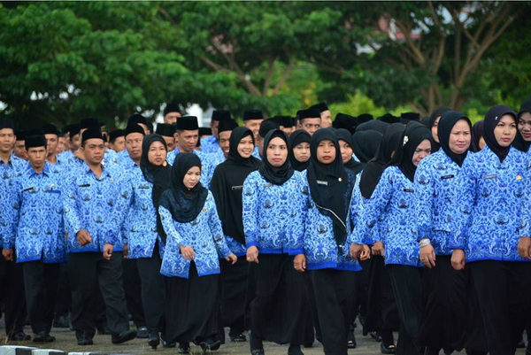 Tahun Ini Rohil Tak Rekrut CPNS Baru