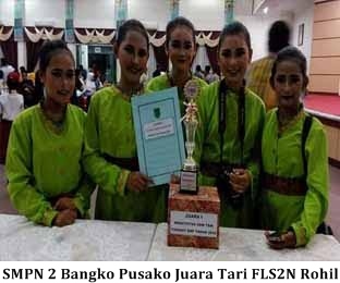 Fls2n rohil
