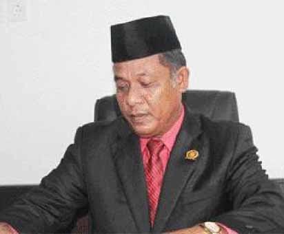 Wakil bupati rohil
