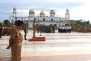 Harapan Wakil Bupati Rohil di Tahun2017