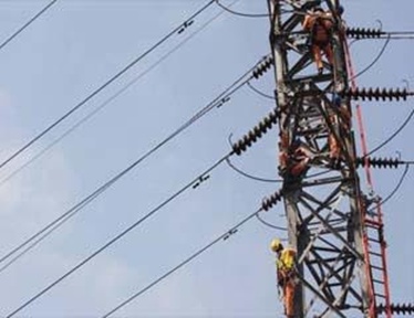 Pln
