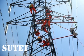 Pln1