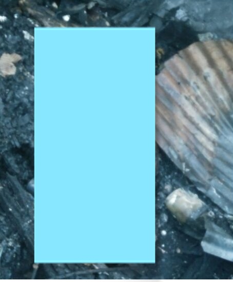 Bkr 1