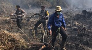 Pendatang dari Sumut Tinggalkan Asap di Bagansiapiapi