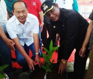 Anggota DPRD Riau Bersama Wabub Rohil Tanam Pohon Jambu Madu Di Senaboi