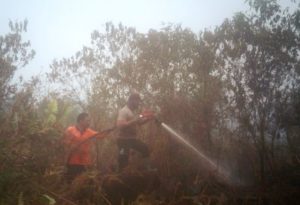 Dampak Kebakaran Hutan Dan Lahan Kabut Asap Makin Meningkat Dikota Bagansiapiapi