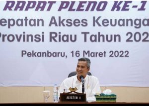 Asisten II Setdaprov Riau Buka Rapat TPAKD ke 1 2022
