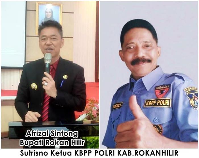 Bupati rohil