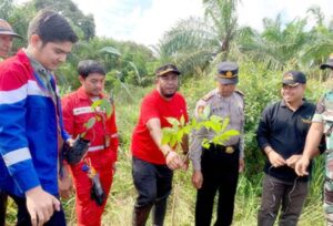 Sulap Jelantah Jadi Bibit, PT KPI RU Dumai Tanam 1.000 Pohon Tabebuya dan Meranti