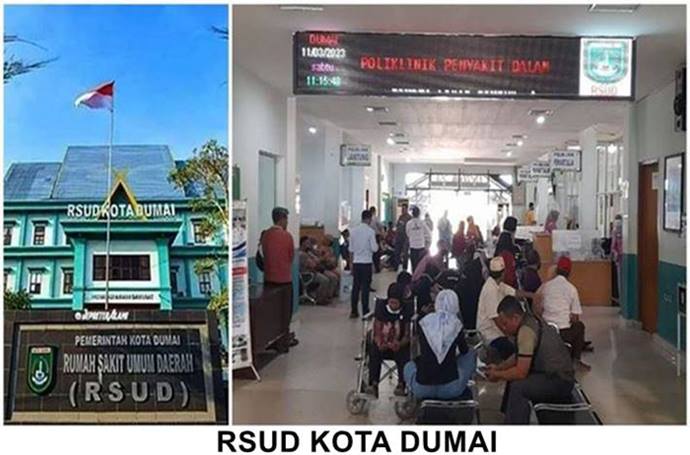 Rsuddmi1