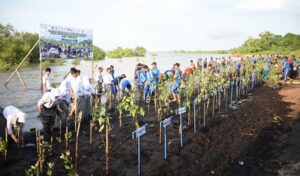 Dukung Program TNI Terkait Kelestarian Lingkungan, PT KPI RU Dumai Hadiri Acara Penanaman Mangrove Serentak Seluruh Indonesia