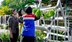 Lewat Panen Hidroponik, PT KPI Unit Dumai Dorong Keberlanjutan Posyandu
