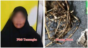 Unit Reskrim Polsek Dumai Barat , Jajaran Polres Dumai Berhasil Membekuk Seorang Pelaku Pembakaran Hutan Dan Lahan