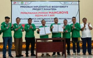 Wujudkan Net Zero Emission dan Biodiversity, RDMP Kilang Pertamina Dumai Lakukan Aksi Tanam 7800 Mangrove