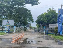 Mangga Sitaan Bea Cukai Tanjung Balai Karimun Diduga Hilang, Keberadaan Dipertanyakan!