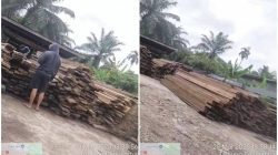 Kayu01