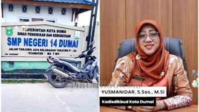 Disdik