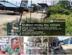 Anggota Kodim 0320  Berinisial Y lakukan klarifikasi ” Gudang CPO Bukan Milik Saya Dan Saya Sudah 3 Bulan Tidak Mengambil Minyak CPO Itu
