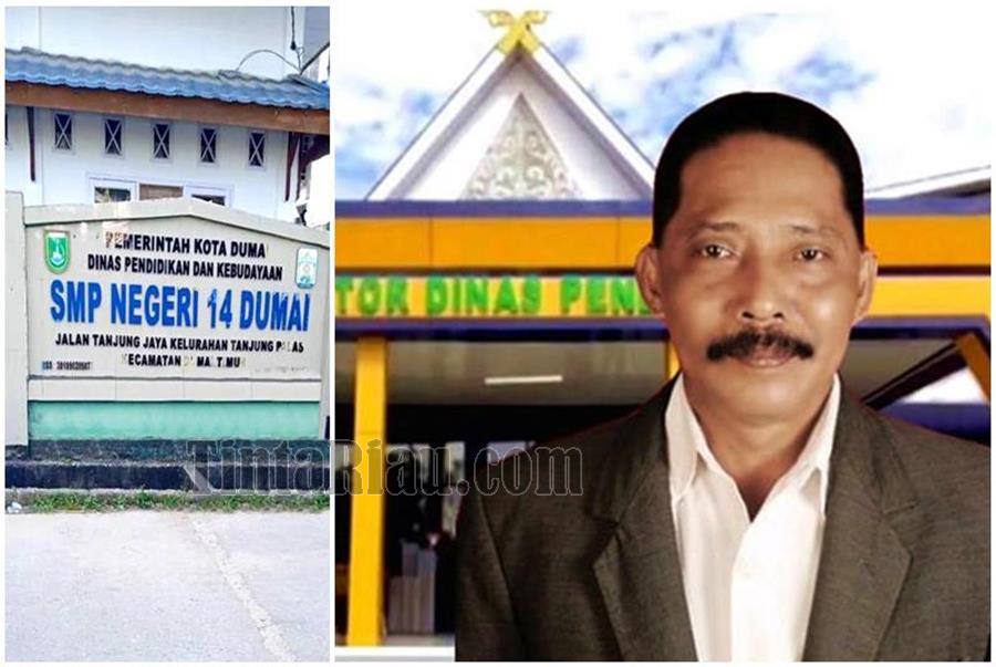 Disdik dmi