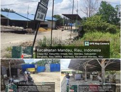 Diduga Oknum TN* 0320 Dumai Berinisial Y Memiliki Usaha CPO Ilegal Didaerah Kesumbo Ampai, Kec.Mandau, Kab. Bengkalis