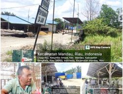 Anggota Kodim 0320  Berinisial Y lakukan klarifikasi ” Gudang CPO Bukan Milik Saya Dan Saya Sudah 3 Bulan Tidak Mengambil Minyak CPO Itu