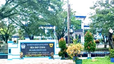 Bc 01 dmi
