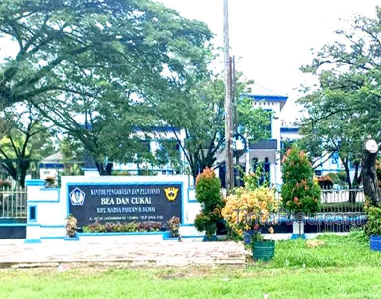 Bc 01 dmi