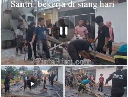 Siang str 1