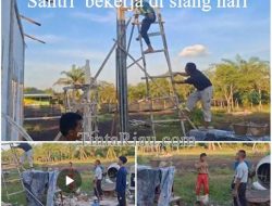 Siang str 2