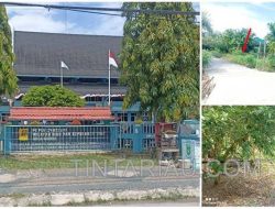 Diduga Membahayakan Warga, Kabel PLN di Kelurahan  Bumi Ayu Kendor dan Tertutup Semak