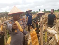 Gambar WhatsApp 2025 12 05 pukul 15.06.42 162363e2