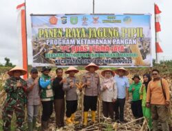 Panen Raya Jagung Pipil di Dumai Hasilkan ±4.500 kg, Dukungan Kapolres Bagi Ketahanan Pangan Nasional