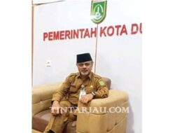 SAIPUL DISKES DMI