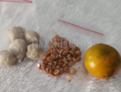 WhatsApp Image 2026 01 16 at 19.19.42