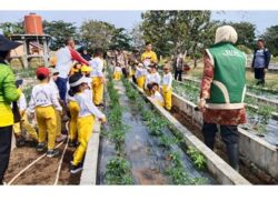 WhatsApp Image 2026 01 24 at 08.48.56 (2)