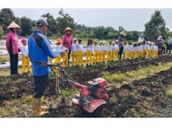 WhatsApp Image 2026 01 24 at 08.48.56