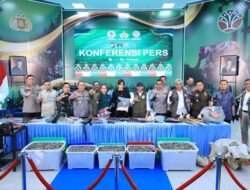 Polda Riau Berhasil Bekuk 15 Tersangka Jaringan Perburuan Gajah Sumatera