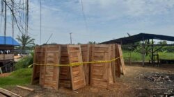 Dua Tersangka  Illegalloging di Sinaboi Ditangkap,Polres Rohil Sita Kayu Olahan Siap Jual,Ini Operandilnya