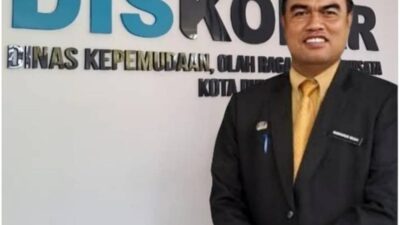 DISKOPAR DMI