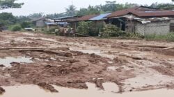 Masyarakat Sinaboi Keluhkan Kondisi Jalan Rusak Dan Penuh Lobang,Terisolir Dan Merasa Belum Merdeka