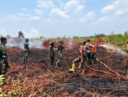 Tim Gabungan Kodam XIX/Tuanku Tambusai Lanjutkan Pendinginan Karhutla, Fokus Cegah Api Meluas